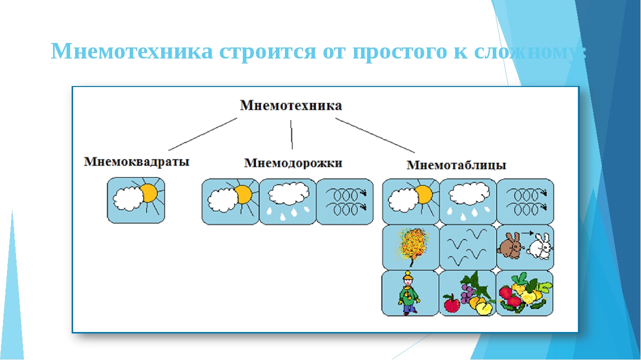 Картинки мнемоквадратов для дошкольников